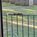 thatonefangirk avatar