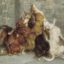 thatoneguythatonetime avatar