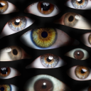 thatoneperson747 avatar