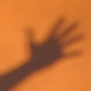 thatonestraypetal avatar