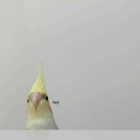 thatonetiredpunkkid avatar