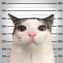 thatoneweirddemon avatar