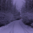 thatoneweirdgirl3 avatar