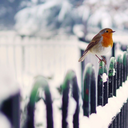 thatotherjoshua-blog avatar