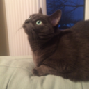 thatothersugarsparks avatar