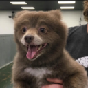 thatpersonwithaface11 avatar