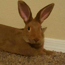 thats-not-candy-thats-sand avatar