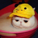 thats-sorta-ravin avatar