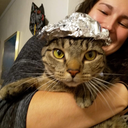 thatsassylittleshit avatar