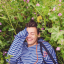 thatsbeautifulharry avatar