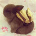 thatsexypotato avatar