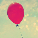 thatsimpleblog avatar