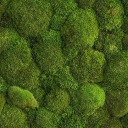 thatsmistersunshinetoyou avatar