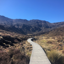 thatsmusicbaby avatar