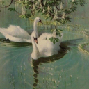 thatsreallyawkward avatar