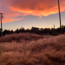 thatsroughbruh avatar