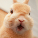 thatstheendofthat avatar