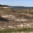 thatsummerride avatar