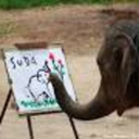 thatsweetpeach avatar