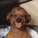 thatsxradical avatar