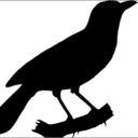 thatvioletcrow avatar