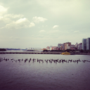 thatwasfunbye-blog avatar