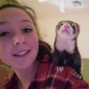 thatweirdferretlady avatar