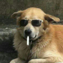 thatweirdgirlciara avatar