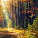 thatweirdmethodistlesbian avatar