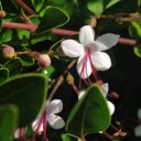 thatwhichmatters avatar