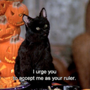 thatwitchykitty22 avatar