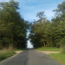 the--cool-shade avatar