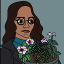 the--point--is--dolphins avatar