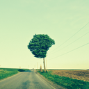 the--way--back avatar