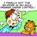 the-100-percent avatar