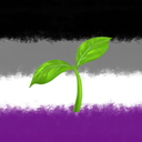 the-ace-plant avatar