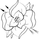 the-adolescents avatar