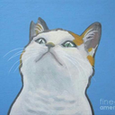 the-alley-cats-blog avatar