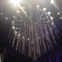 the-amazing-grey-ace avatar