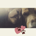 the-amazing-leni-blog avatar