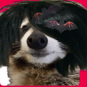 the-amazing-meow avatar