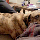 the-amazing-nothingness avatar