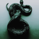 the-annoying-gal avatar