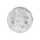 the-anti-matters avatar