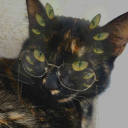 the-archivists-glasses avatar