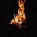 the-arson-system-01 avatar