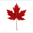 the-art-of-lazyness avatar