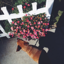 the-art-of-moi avatar