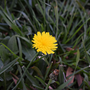 the-artistic-lens avatar