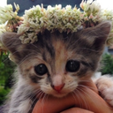 the-artofbeing avatar